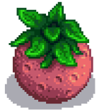 Гигантская дыня