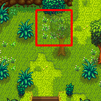 Раскопки у слаймов