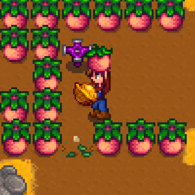 Орех с фермерства