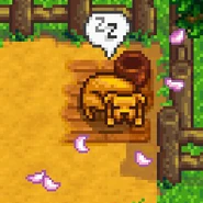 Пустая миска