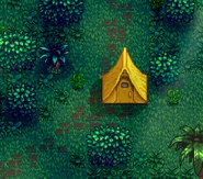 Установленная палатка