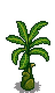 Банановое дерево 4