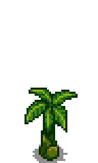 Банановое дерево 3