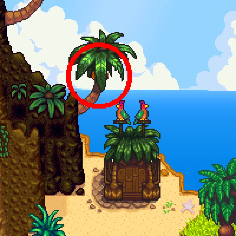 Орех около экспресса