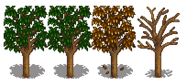 Абрикосовое дерево 5