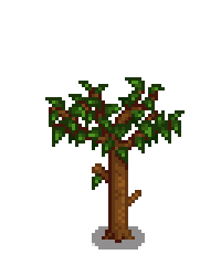 Вишнёвое дерево 4