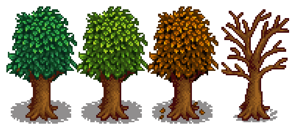 Гранатовое дерево 5