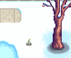 Спот семена снегодыни