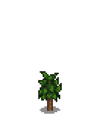 Персиковое дерево 2