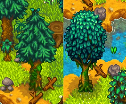 Покрытые мхом деревья