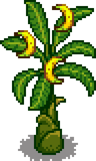 Банановое дерево