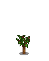 Вишнёвое дерево 2