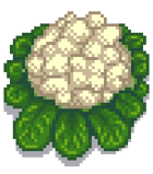 Гигантская цветная капуста