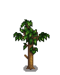 Персиковое дерево 4