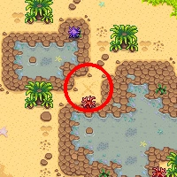 Раскопки на приливных бассейнах 2