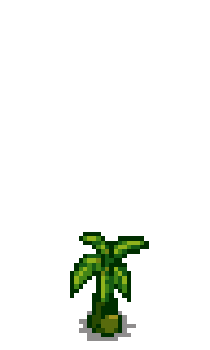 Банановое дерево 1