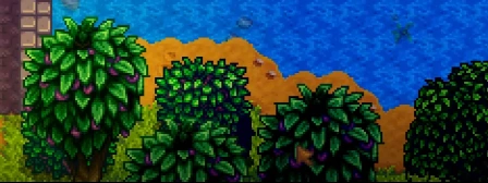 Существо из капсулы при выходе из пляжа