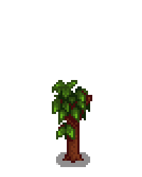 Гранатовое дерево 3