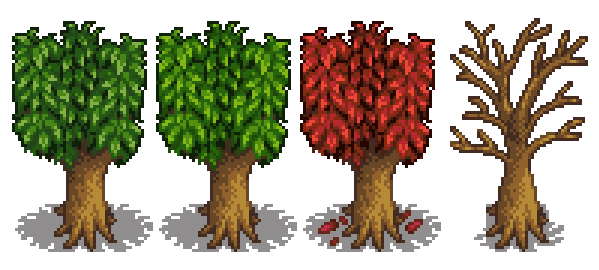 Персиковое дерево 5