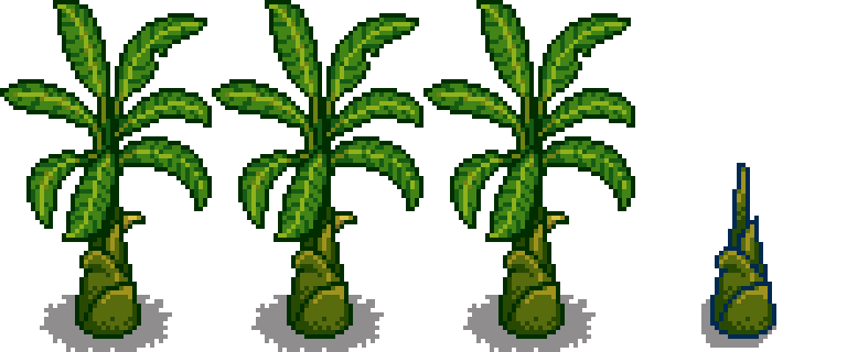 Банановое дерево 5