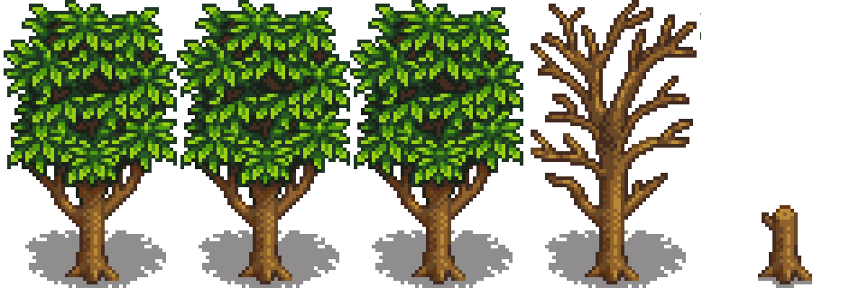 Манговое дерево 5