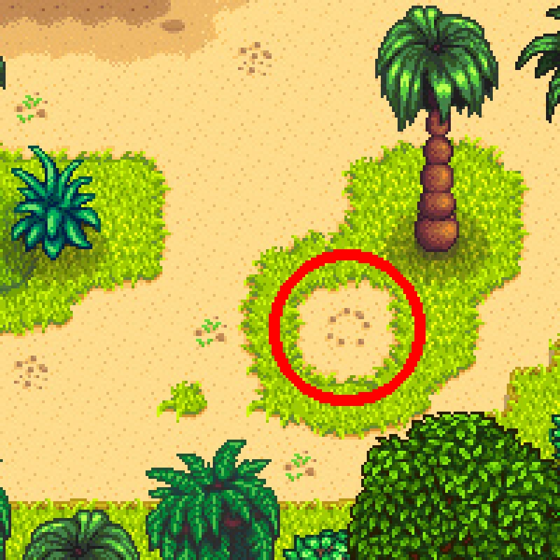 Раскопки под пальмой