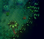 Набор в джунглях