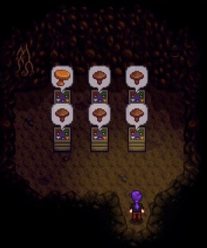 Грибные делянки в пещере.