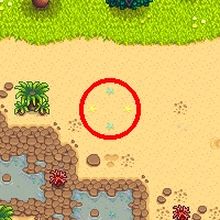 Раскопки на приливных бассейнах 1