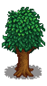 Гранатовое дерево