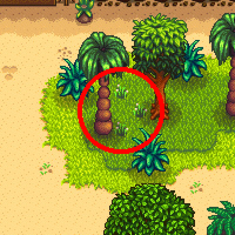 Раскопки в траве под деревом