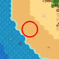 Раскопки на западном берегу