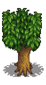 Персиковое дерево