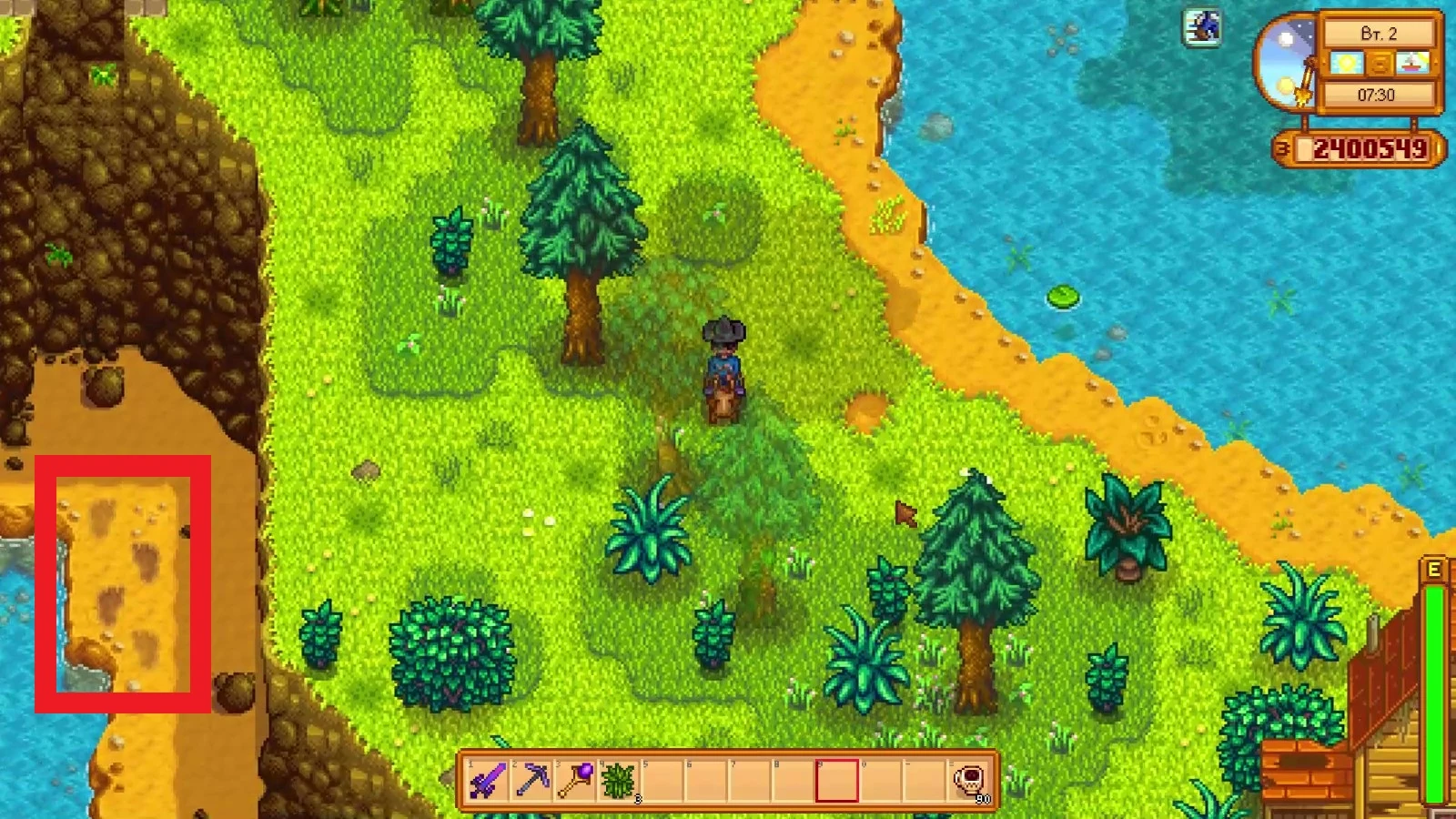 Шаги Бигфута В Лесу