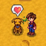 Питомец любит вас