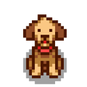 Бежевая собака