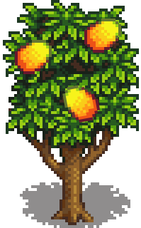 Манговое дерево