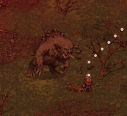 Поднимает камень для броска