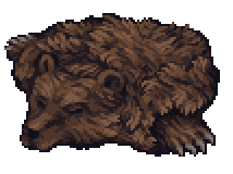 Медвежья шкура