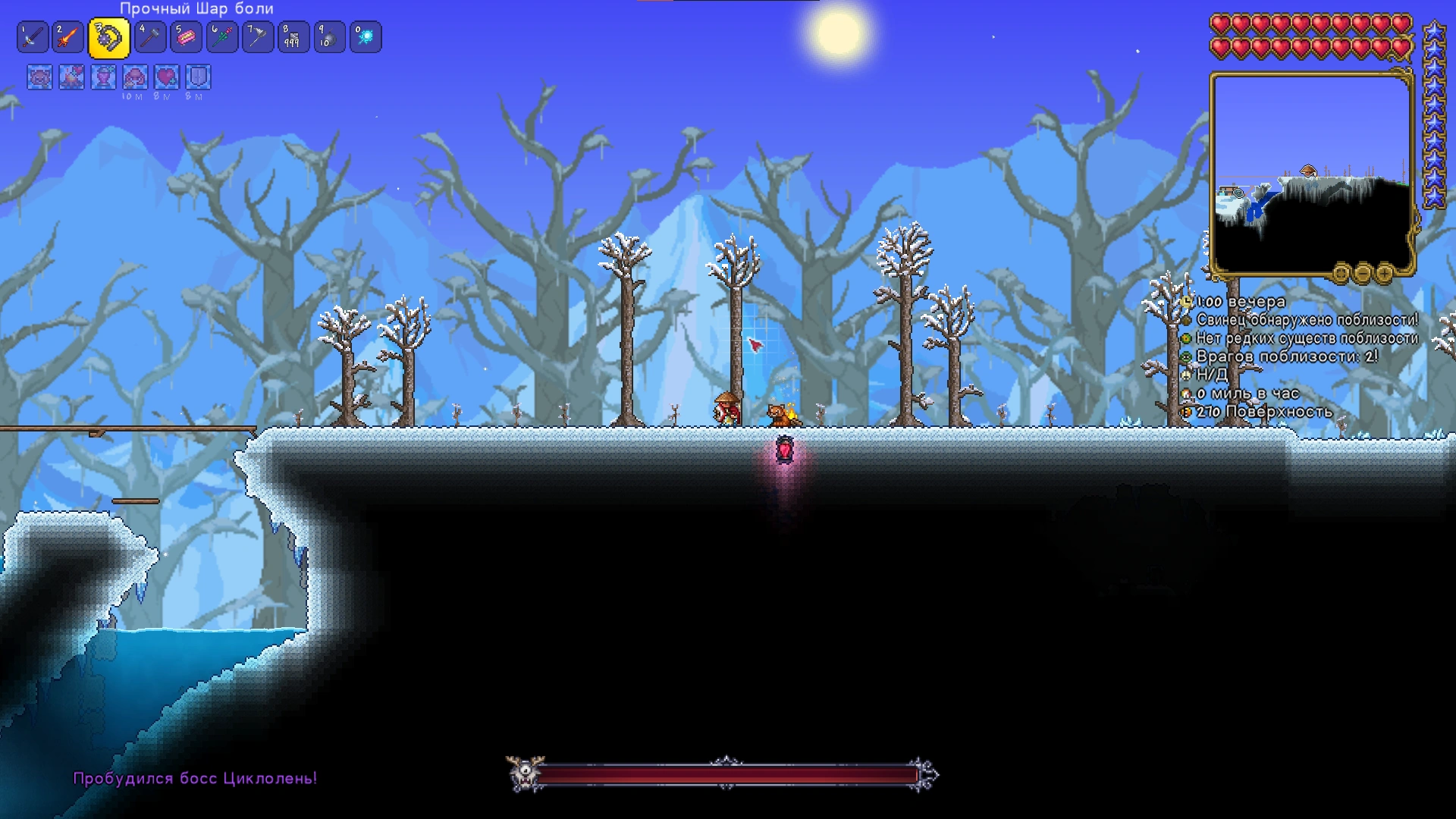 "Арена" для циклополеня