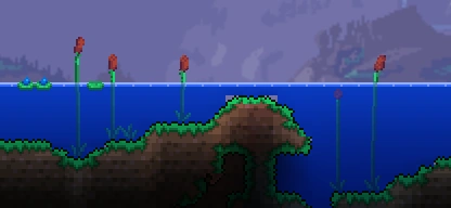 Рогоз в озере.