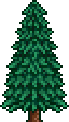 Christmas Tree (placed)