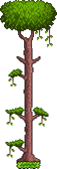 Tree (Jungle)