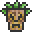 Tiki Spirit (old)