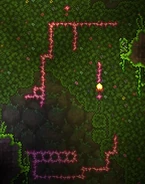 Шипастая колючка от Плантеры