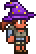 Wizard's Hat (equipped) female
