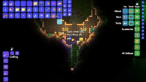Terraria_bug_report