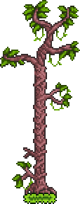Underground Jungle Tree