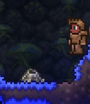 Гейзер в Грибном биоме.