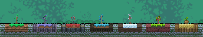 Новые ростки, слева направо: лесной, эбонитовый, мрачный, жемчужный, северный, красный и пальмовый